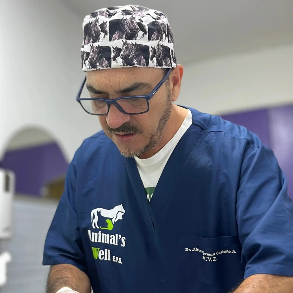 Coordinated access to veterinary specialists